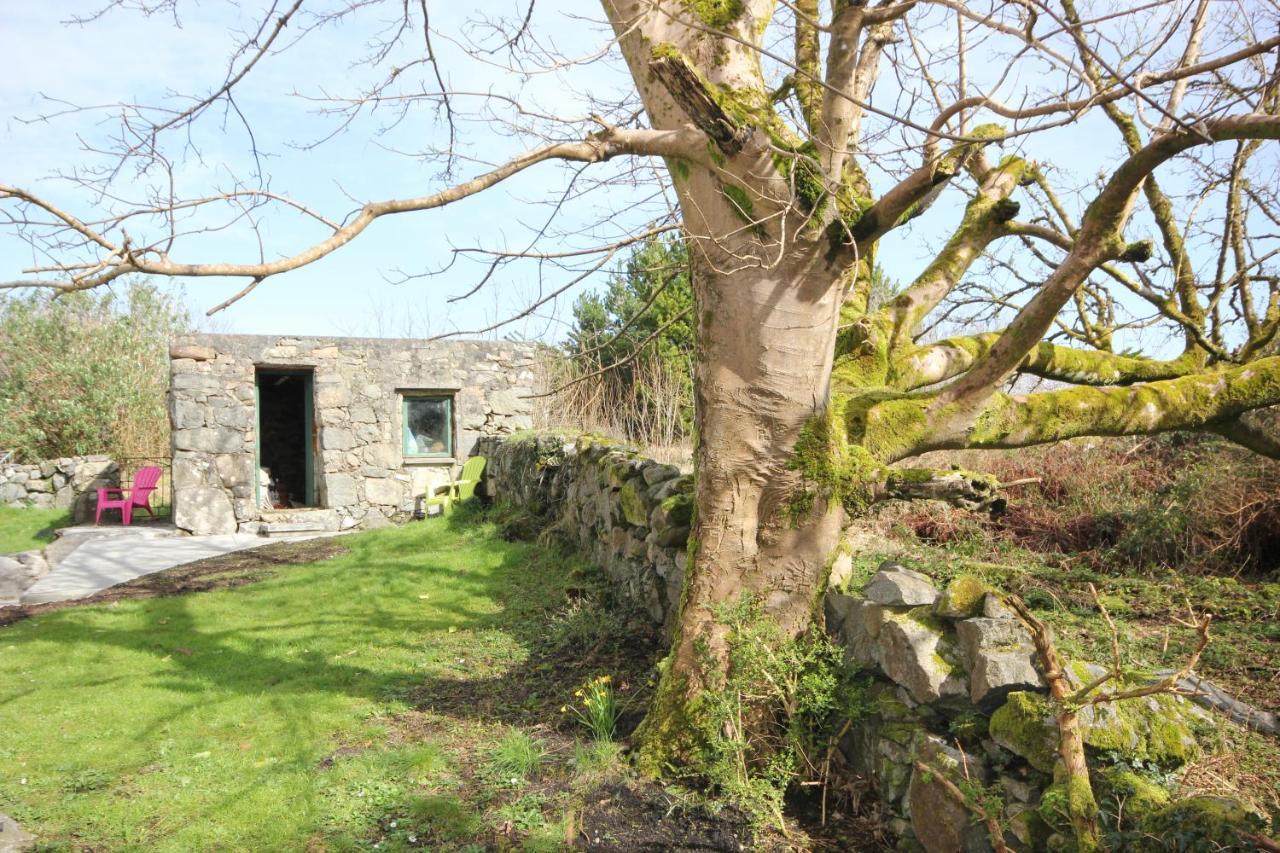 Atlantic Way Cottage Galway Exterior photo